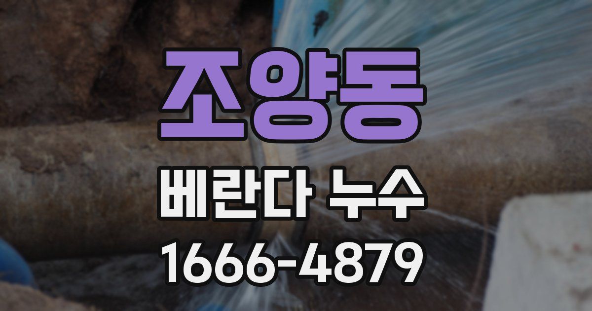 조양동 베란다 누수