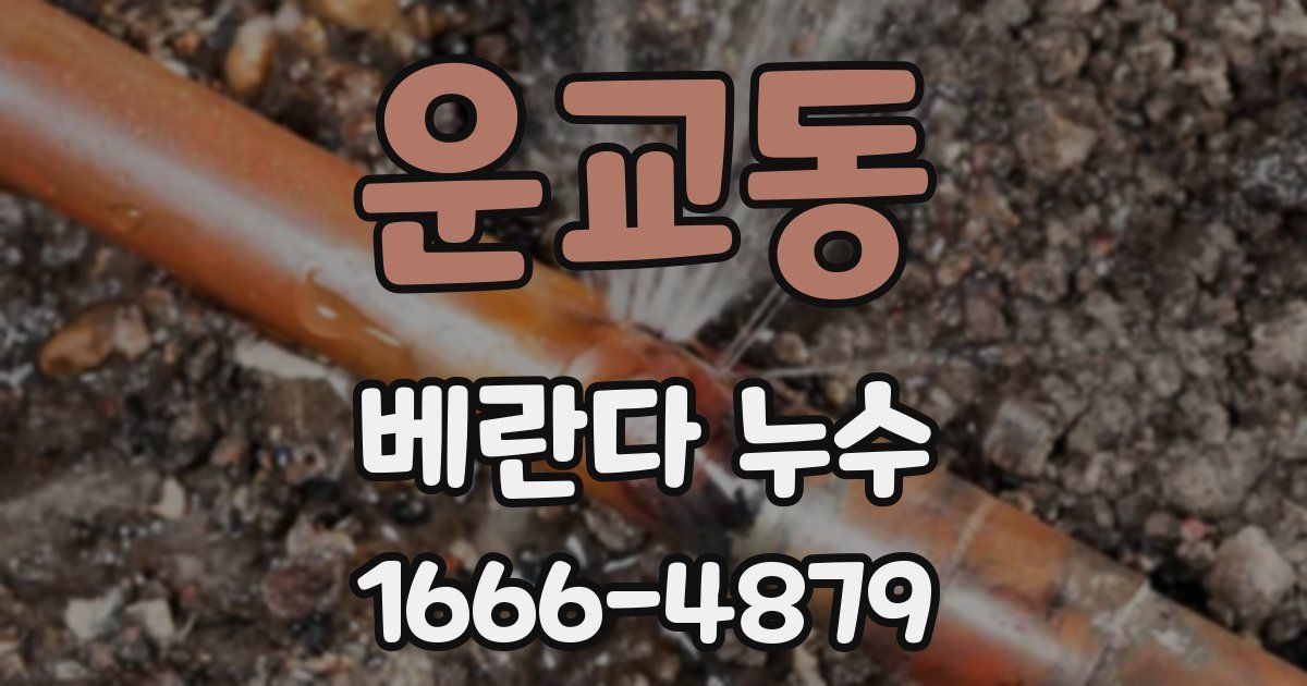 운교동 베란다 누수