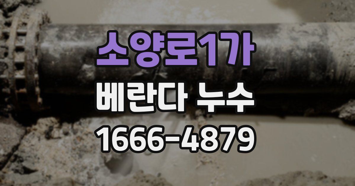소양로1가 베란다 누수
