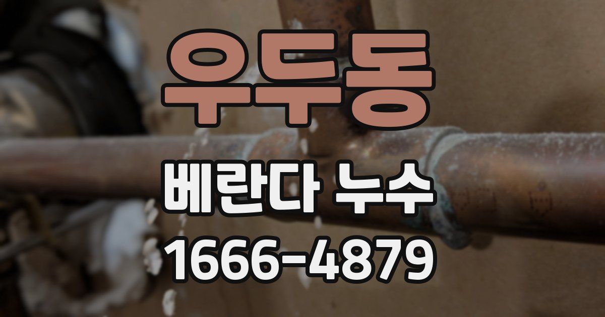 우두동 베란다 누수