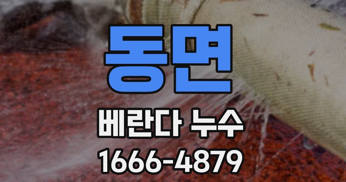 동면 베란다 누수