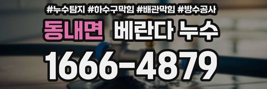 동내면 베란다 누수