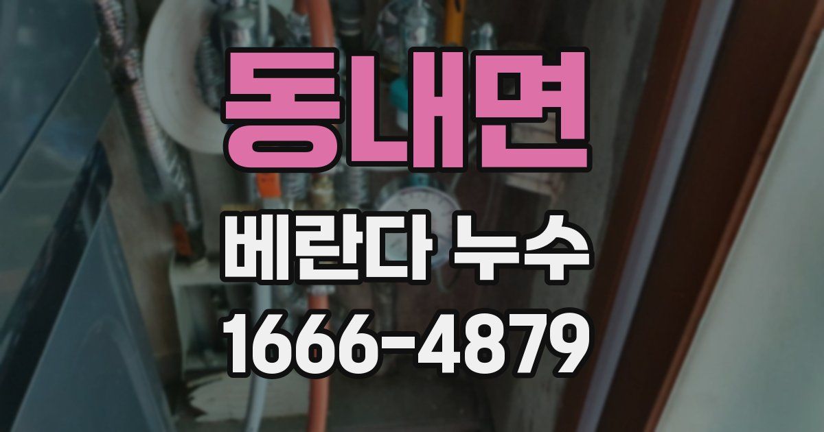동내면 베란다 누수