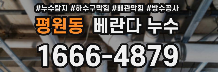 평원동 베란다 누수