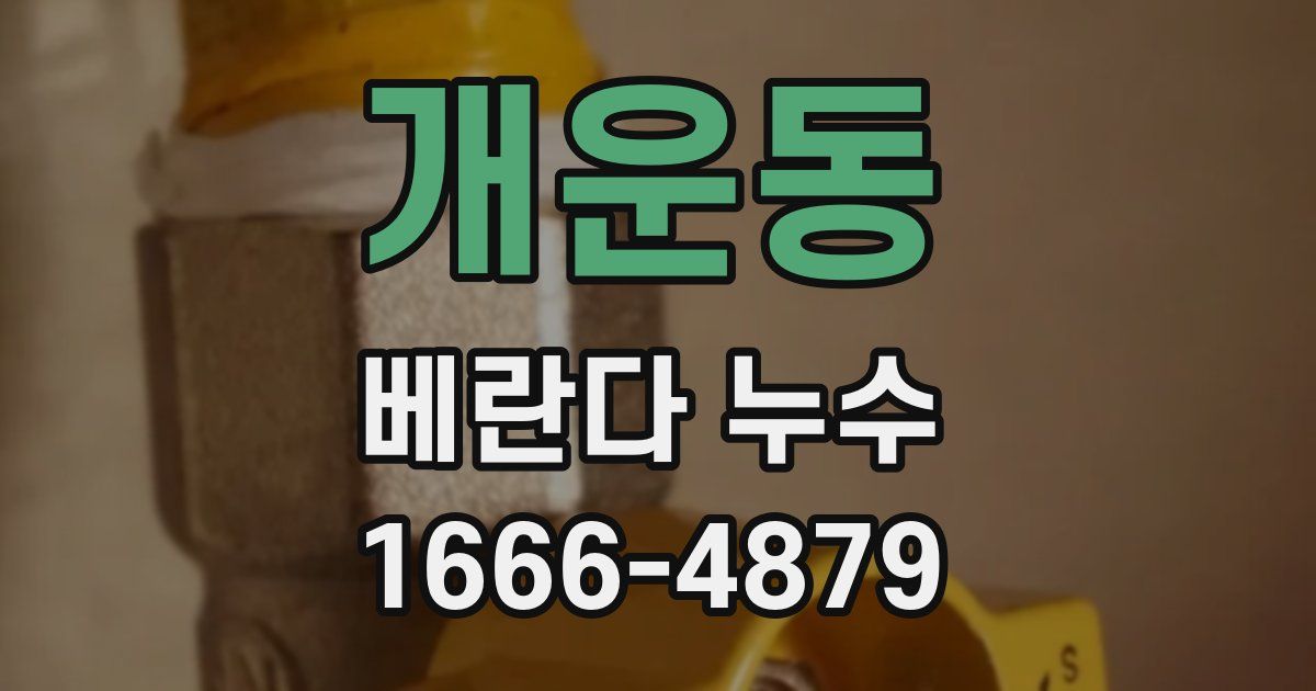 개운동 베란다 누수