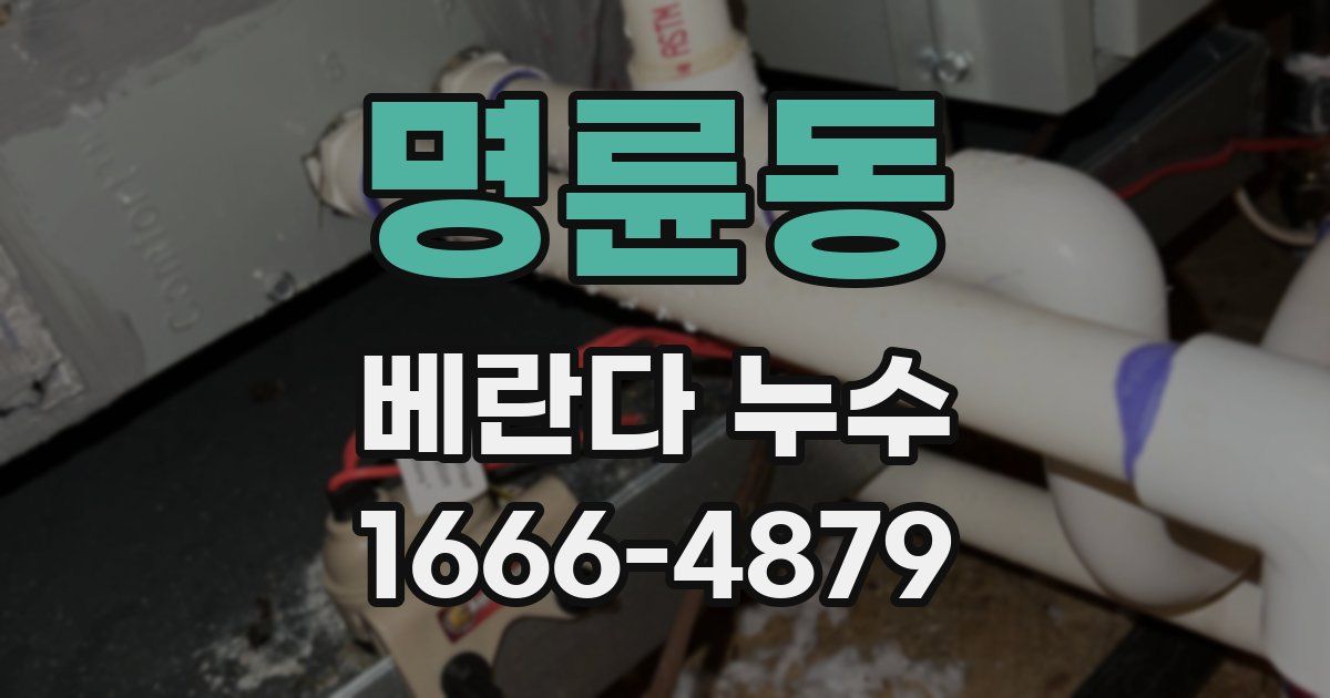 명륜동 베란다 누수