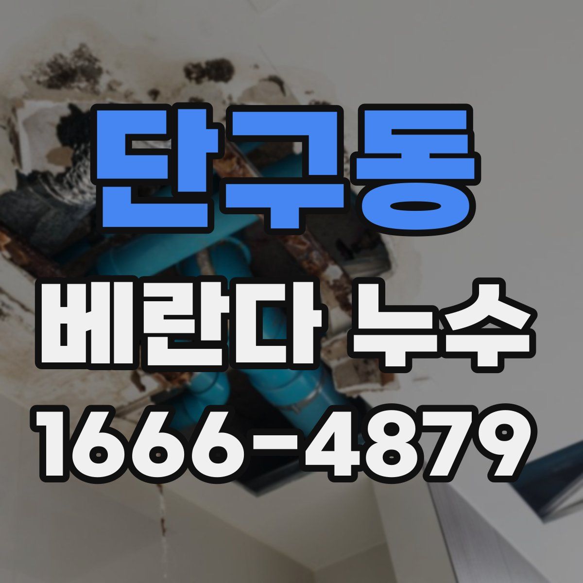 단구동 베란다 누수