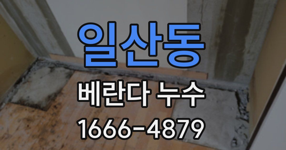 일산동 베란다 누수