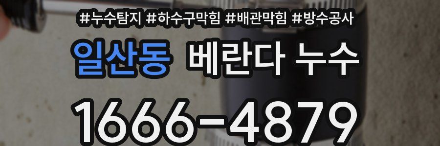 일산동 베란다 누수