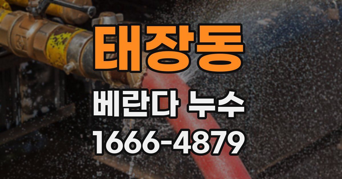 태장동 베란다 누수