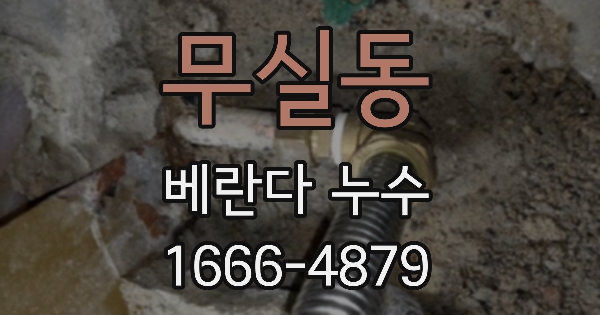 무실동 베란다 누수