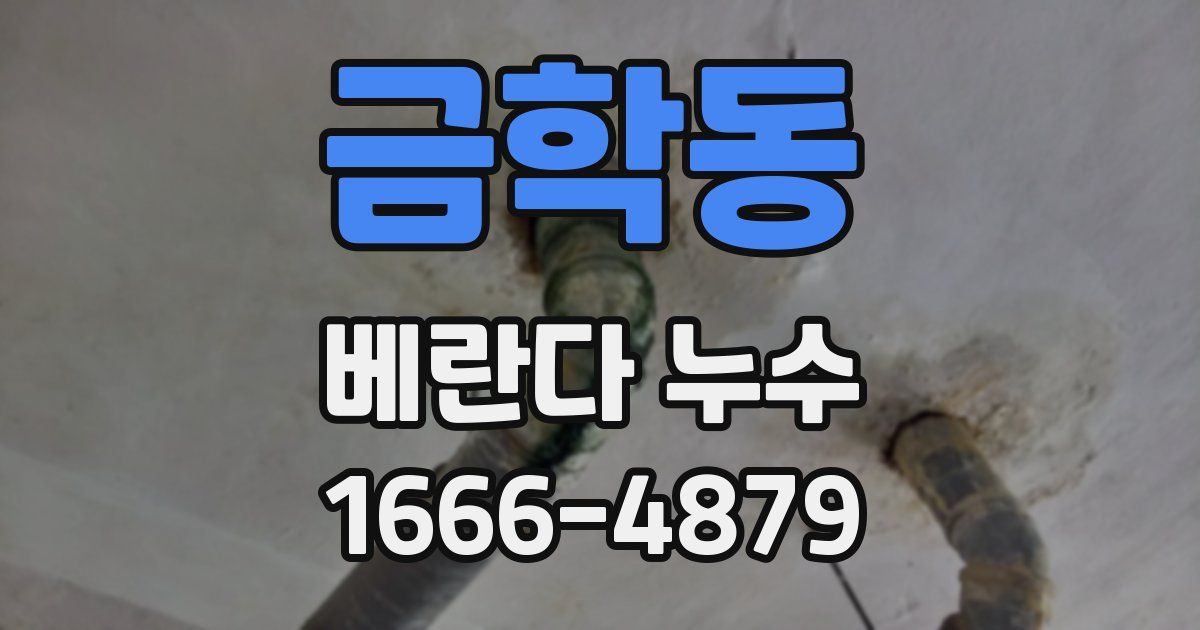 금학동 베란다 누수