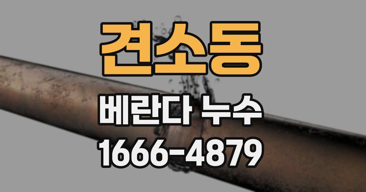 견소동 베란다 누수