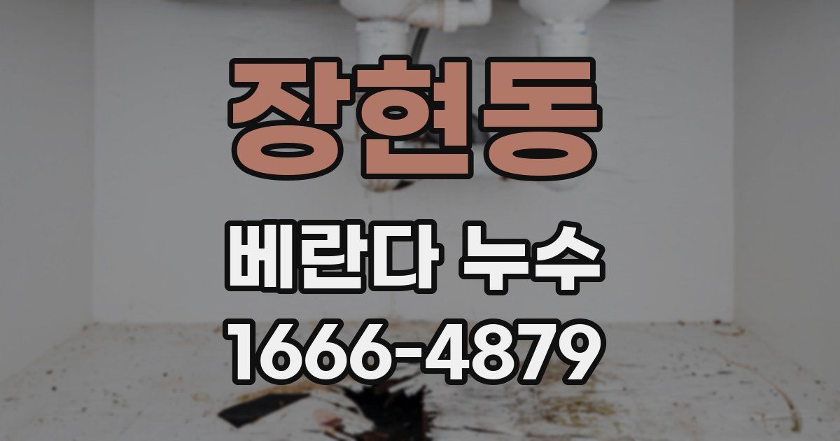 장현동 베란다 누수