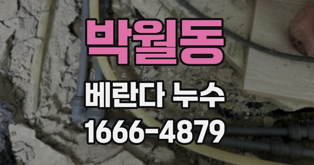 박월동 베란다 누수