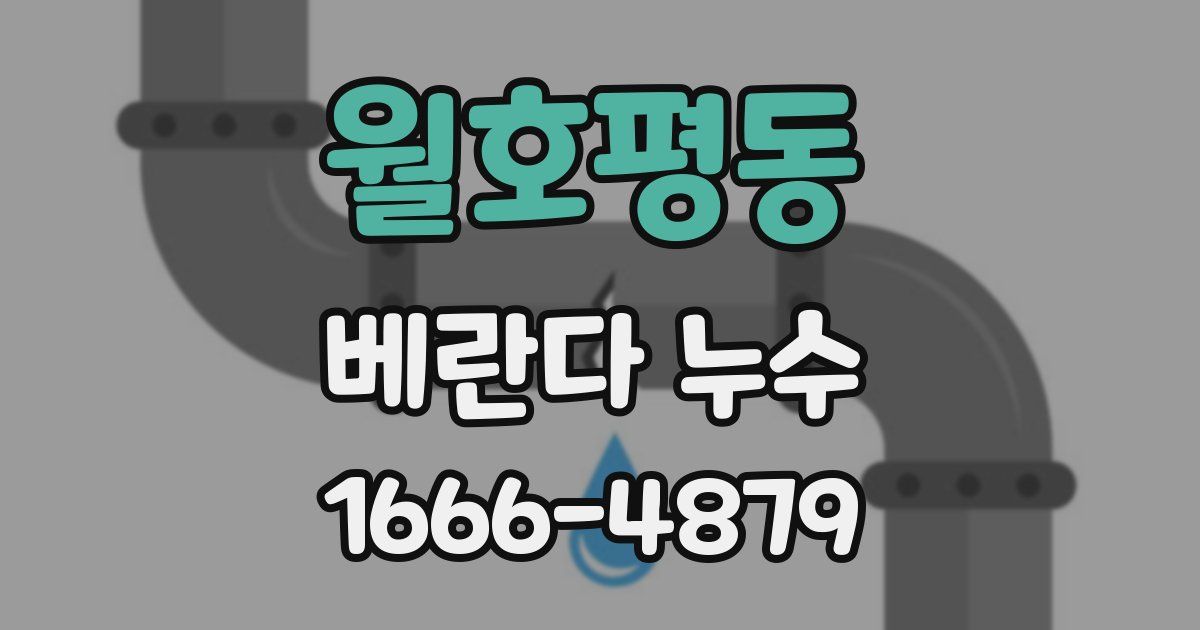 월호평동 베란다 누수