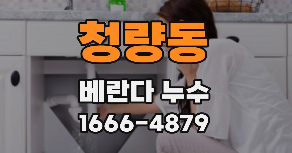 청량동 베란다 누수