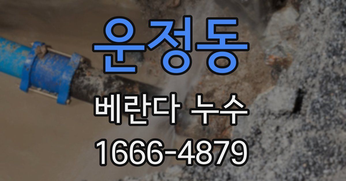 운정동 베란다 누수