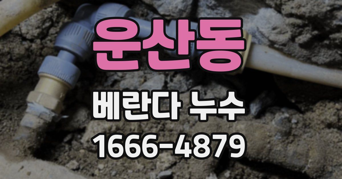 운산동 베란다 누수