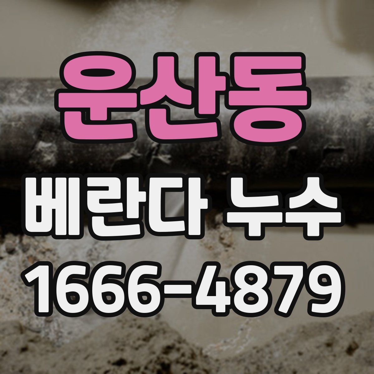 운산동 베란다 누수