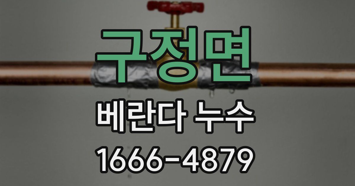 구정면 베란다 누수