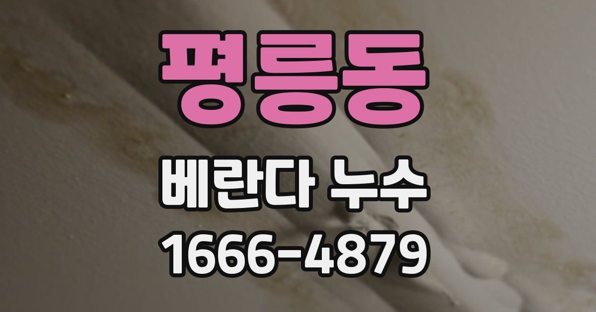 평릉동 베란다 누수