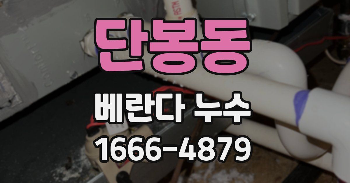 단봉동 베란다 누수