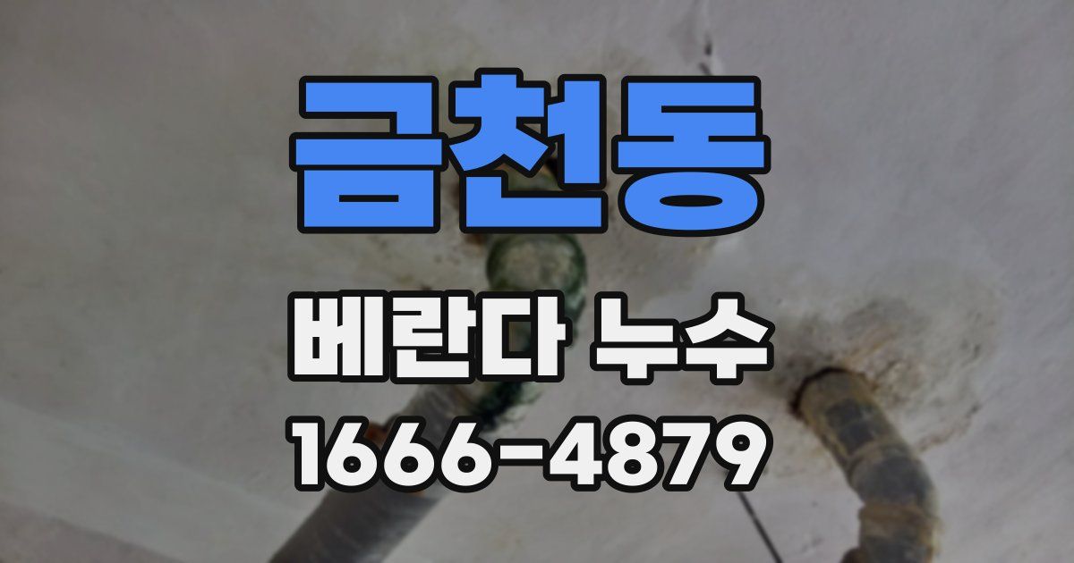 금천동 베란다 누수