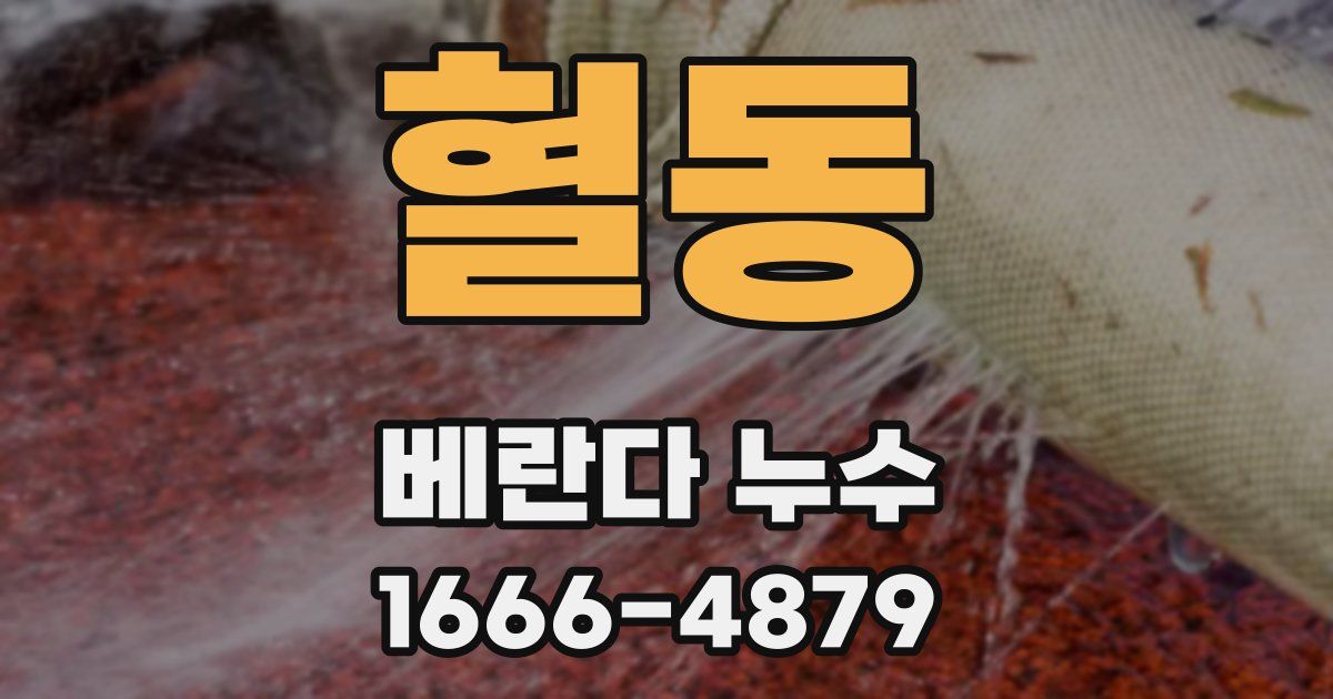 혈동 베란다 누수