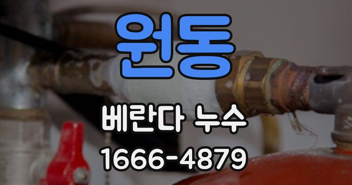 원동 베란다 누수