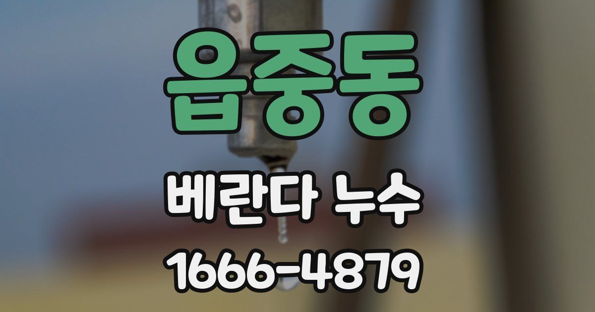 읍중동 베란다 누수