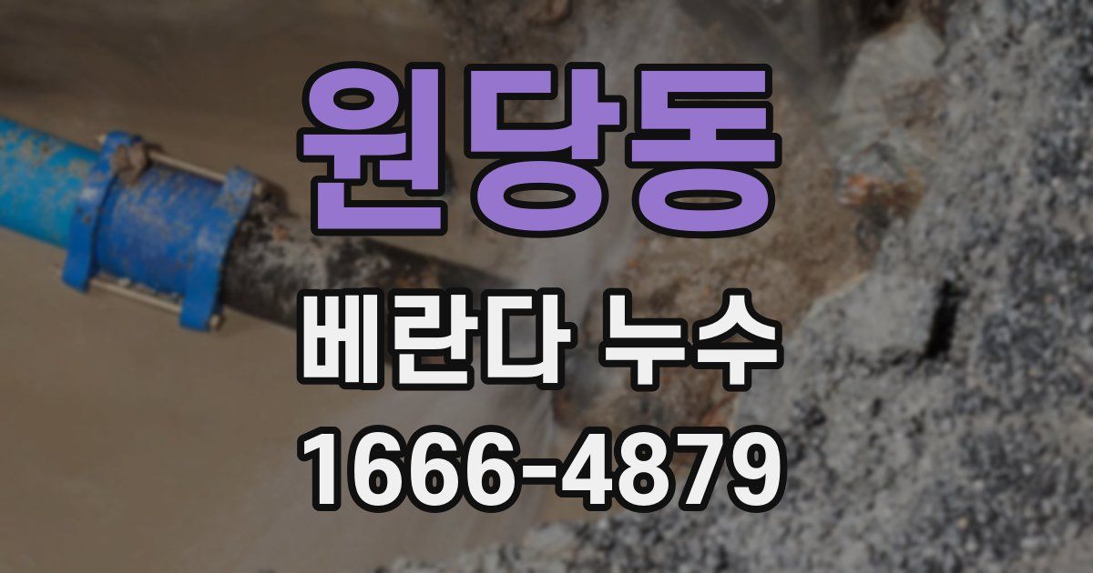 원당동 베란다 누수