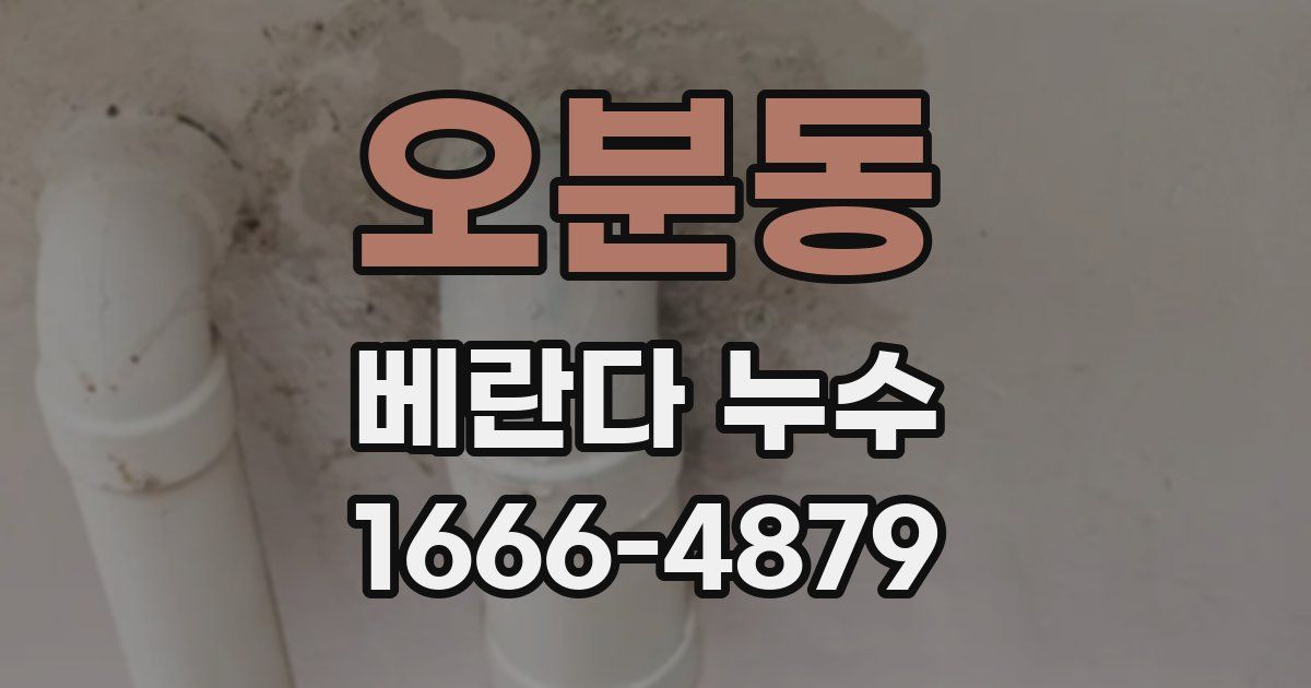 오분동 베란다 누수