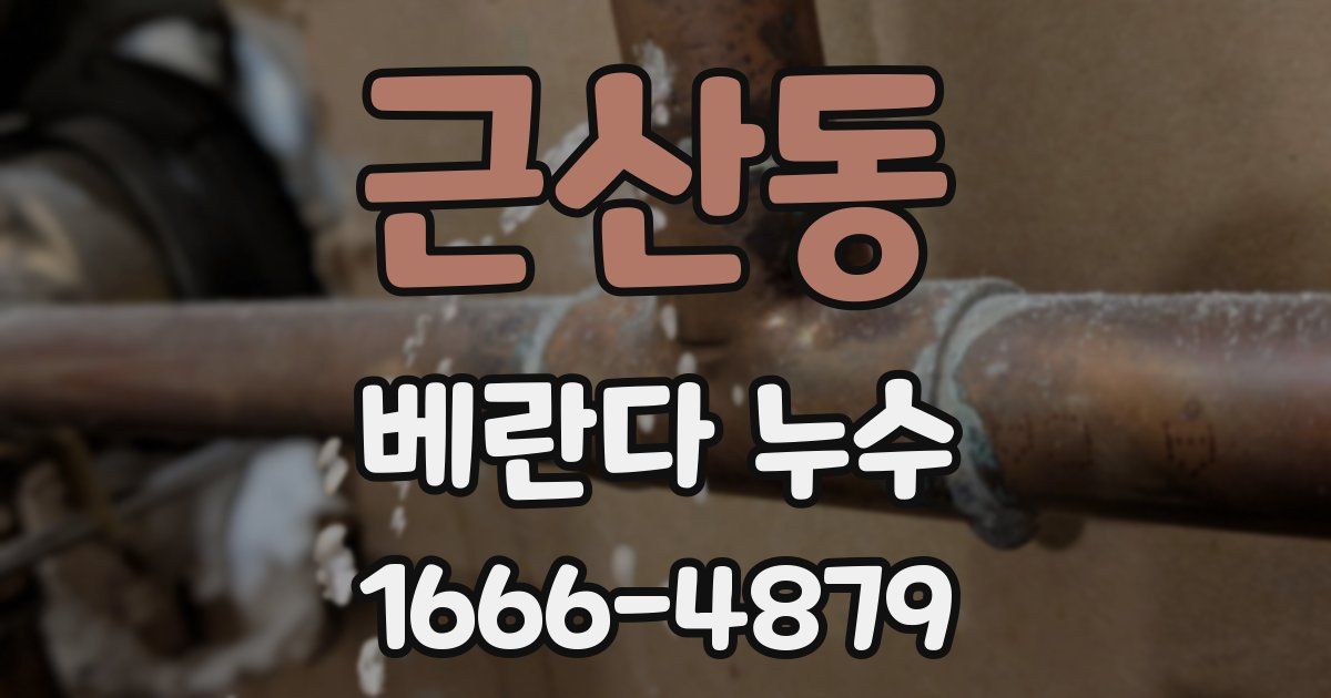 근산동 베란다 누수
