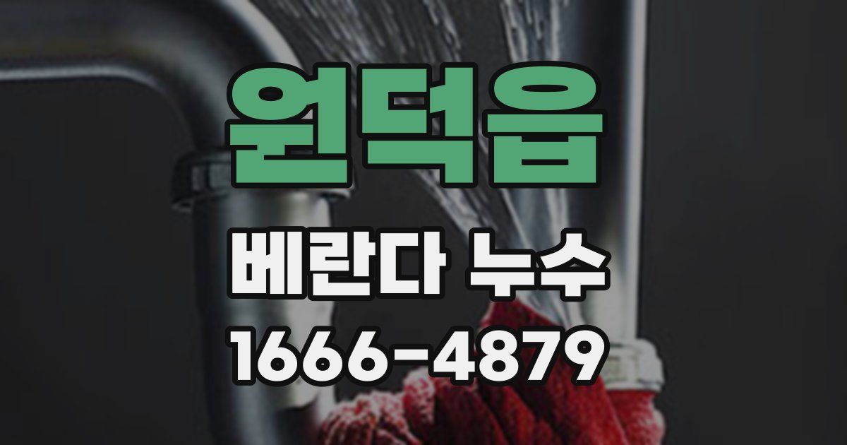 원덕읍 베란다 누수