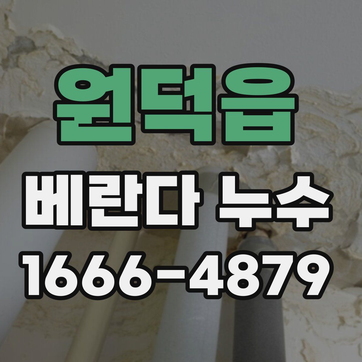 원덕읍 베란다 누수