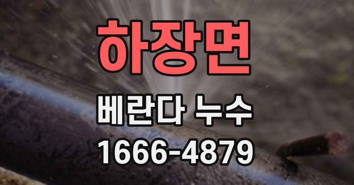 하장면 베란다 누수