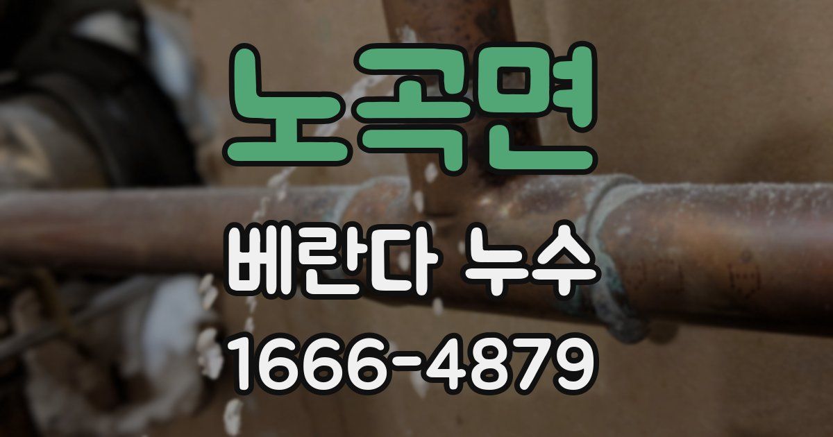 노곡면 베란다 누수