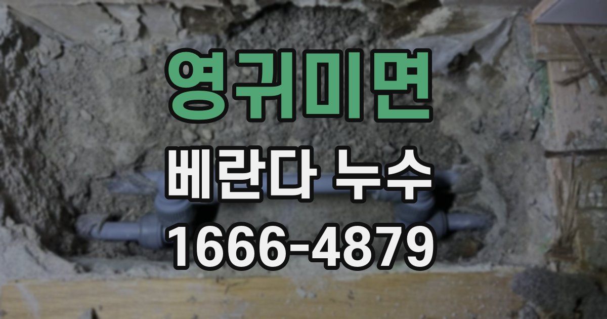영귀미면 베란다 누수