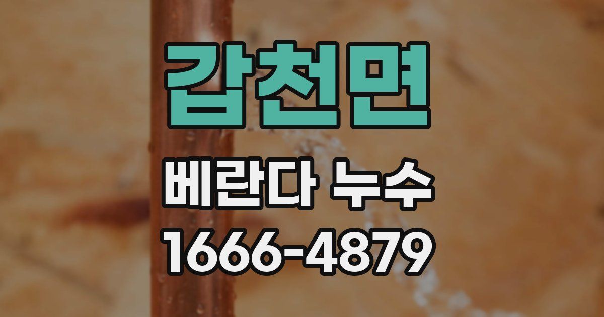 갑천면 베란다 누수