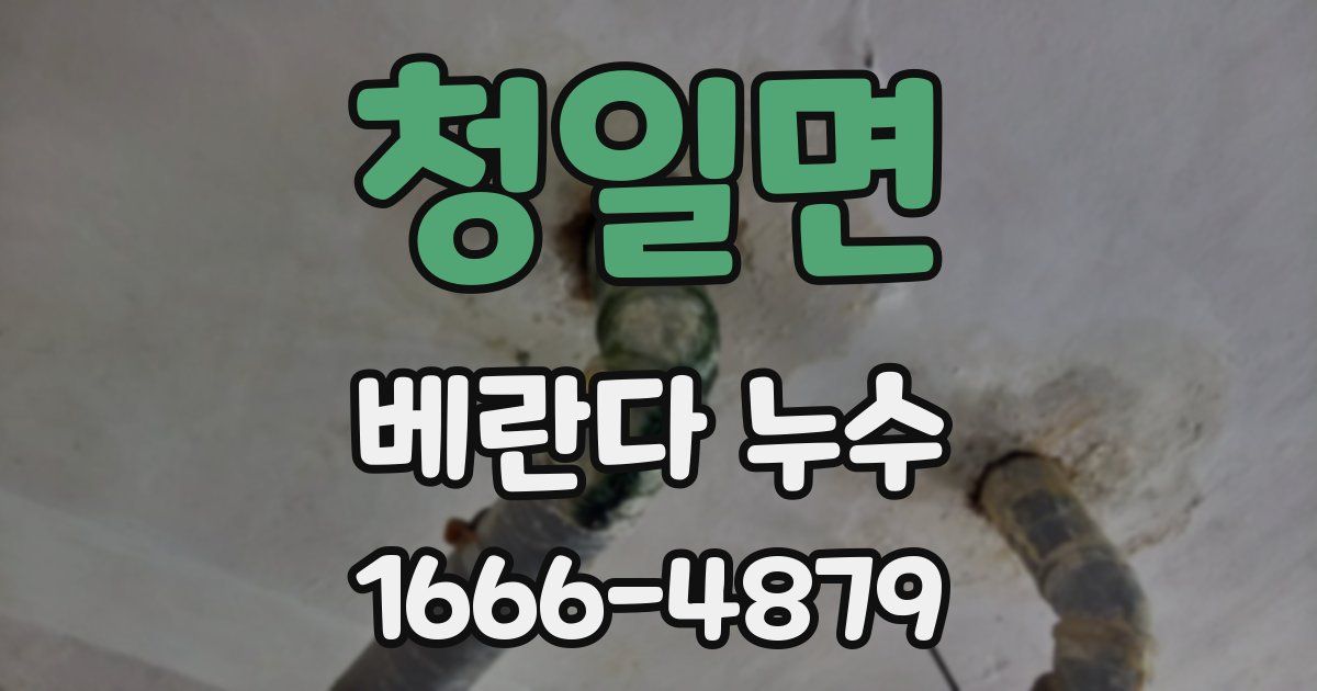 청일면 베란다 누수