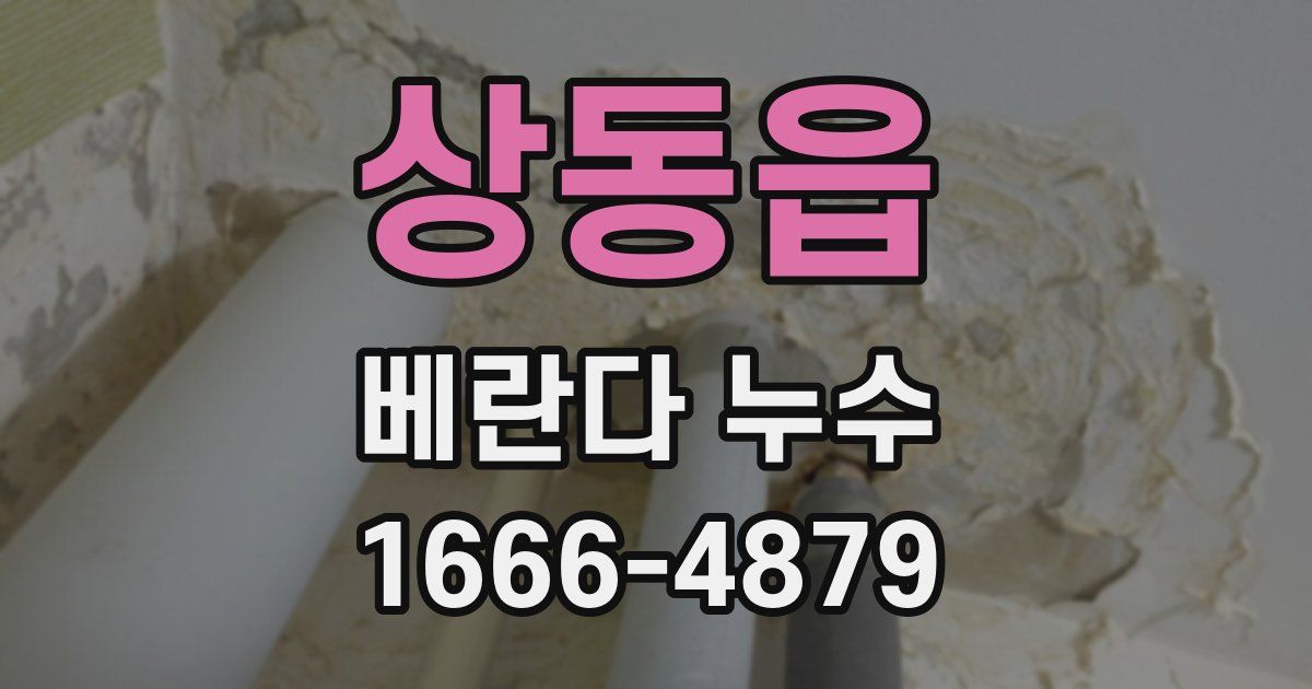 상동읍 베란다 누수