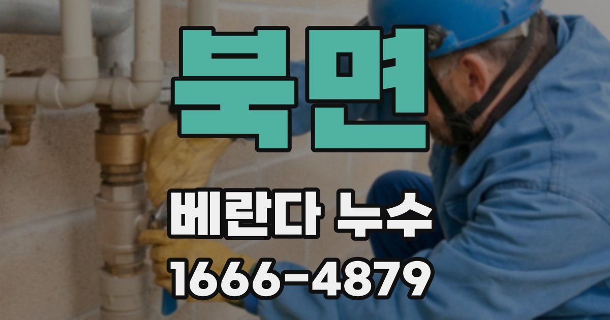 북면 베란다 누수