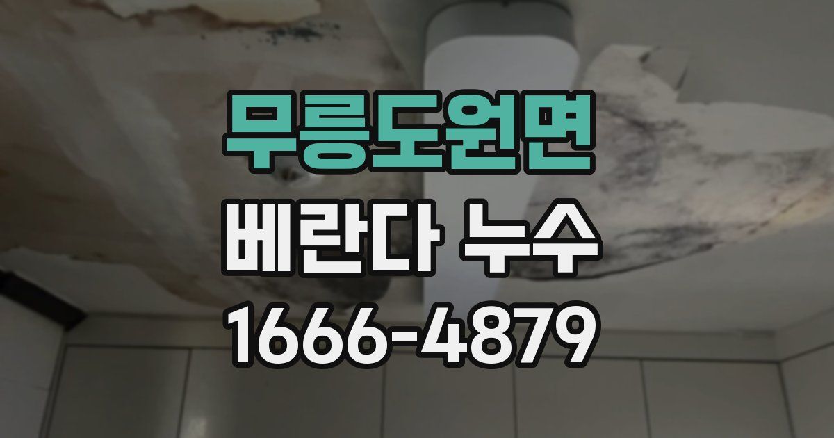 무릉도원면 베란다 누수