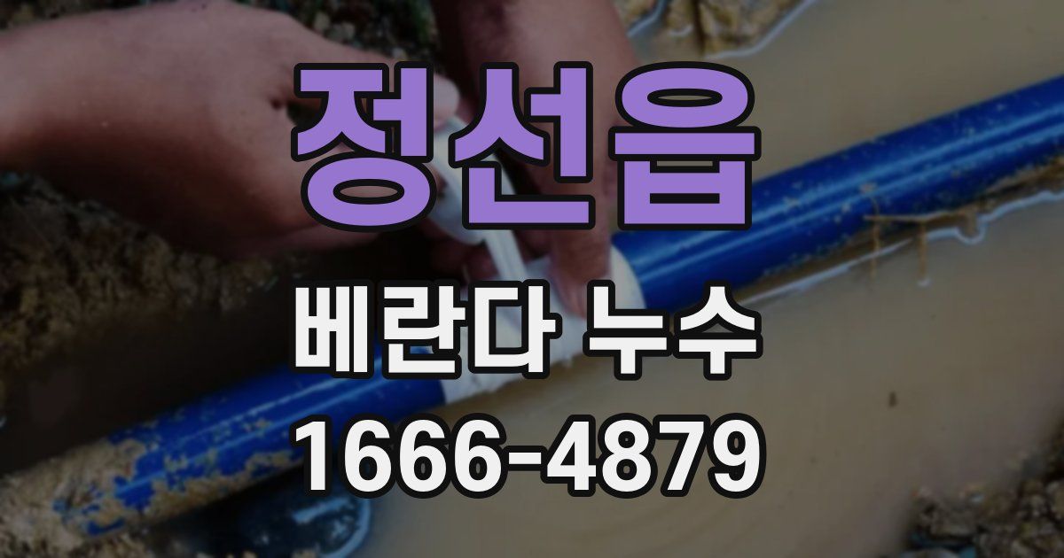 정선읍 베란다 누수