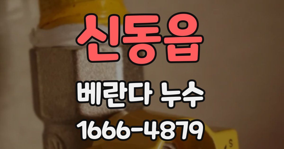 신동읍 베란다 누수