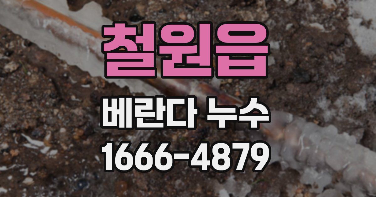 철원읍 베란다 누수
