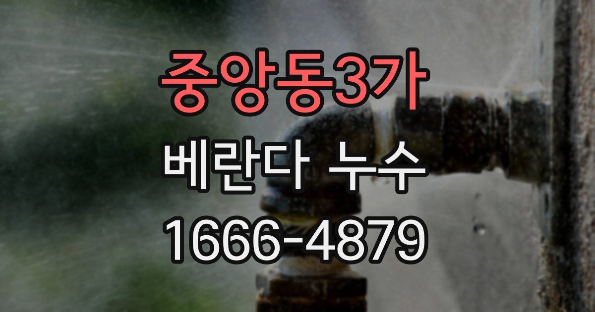 중앙동3가 베란다 누수