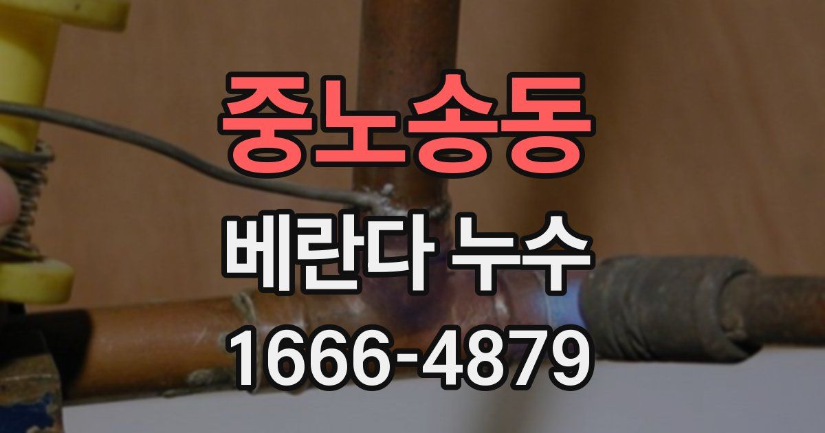 중노송동 베란다 누수