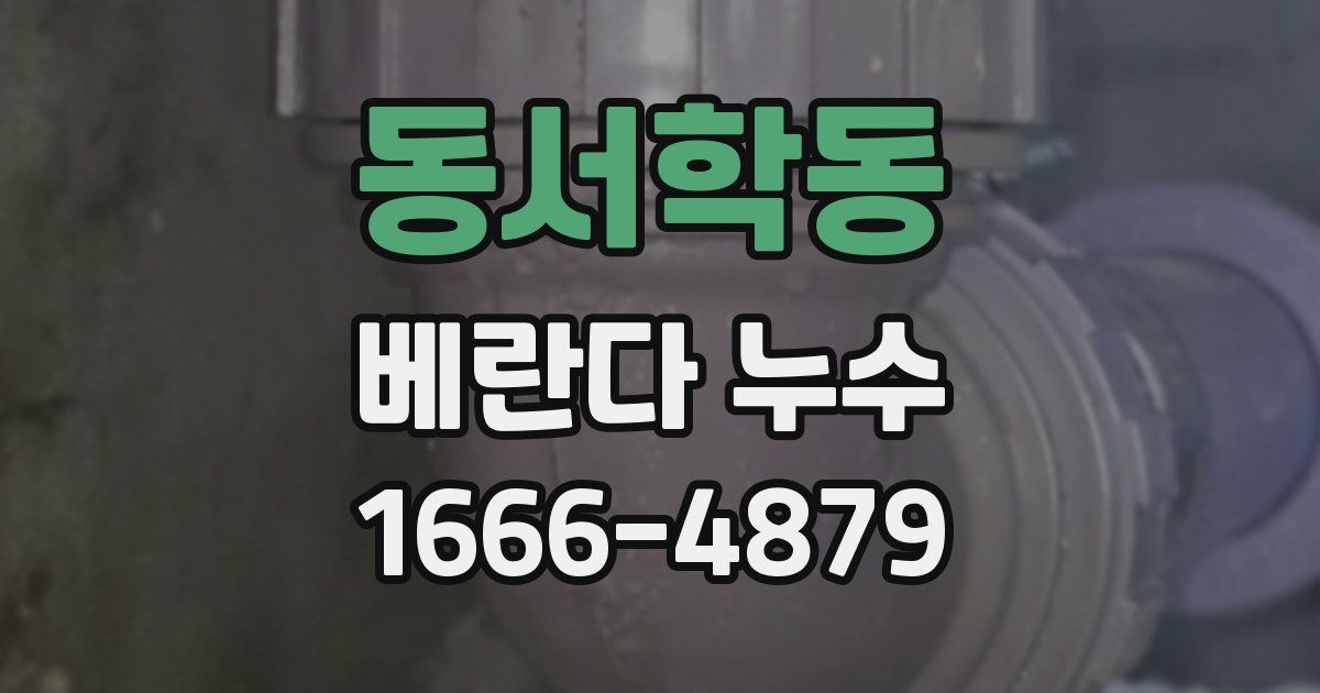 동서학동 베란다 누수